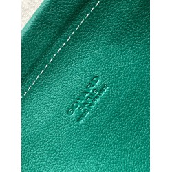 Goyard Isabelle Bags Green