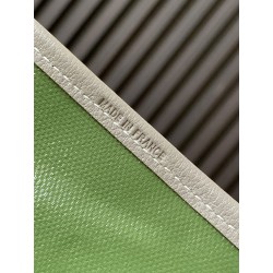 [170th Anniversary Limited Edition] Goyard Saint Louis PM Bag Grey Green 525